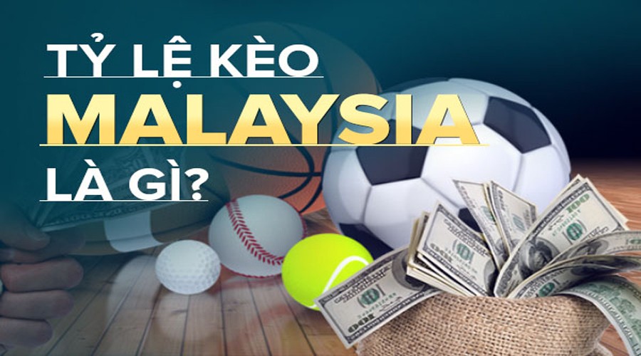 XO88 Tỷ lệ Malaysia là gì? Những lưu ý khi tham gia cá cược kèo Malaysia